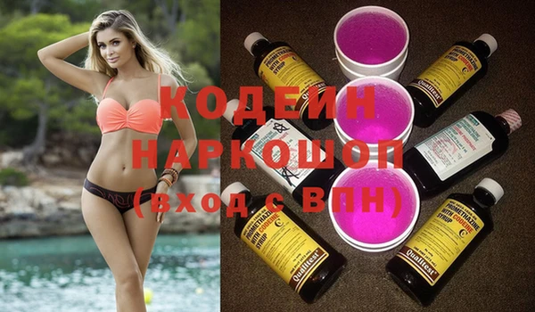 индика Снежинск