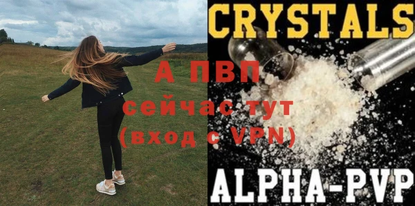индика Снежинск