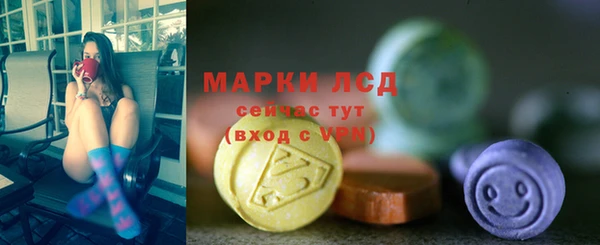 индика Снежинск
