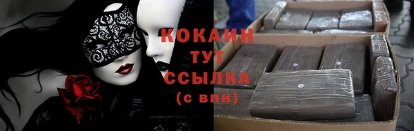 гидропоника Великий Новгород