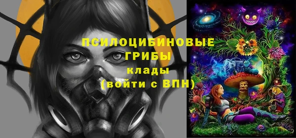 индика Снежинск