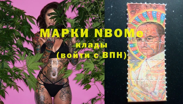 индика Снежинск
