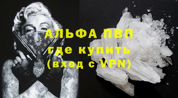 индика Снежинск