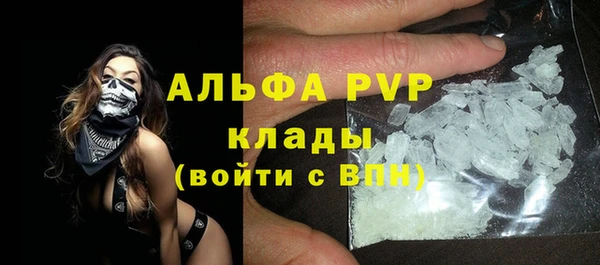индика Снежинск