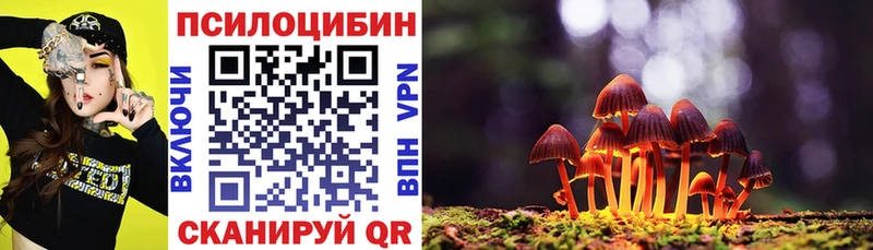 Купить закладки  Гуково  Псилоцибиновые грибы ЛСД 